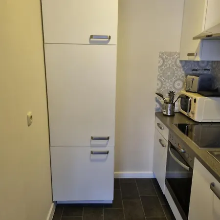 Ferienwohnung/apartment 公寓 锡根